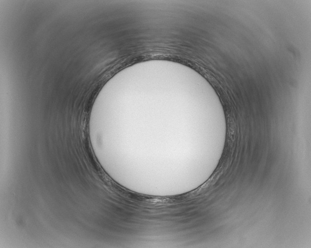 X0000115650082200912011531