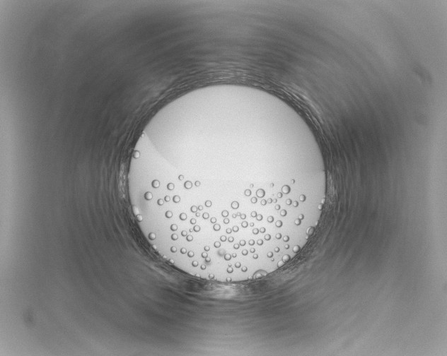 X0000115650083200912011531