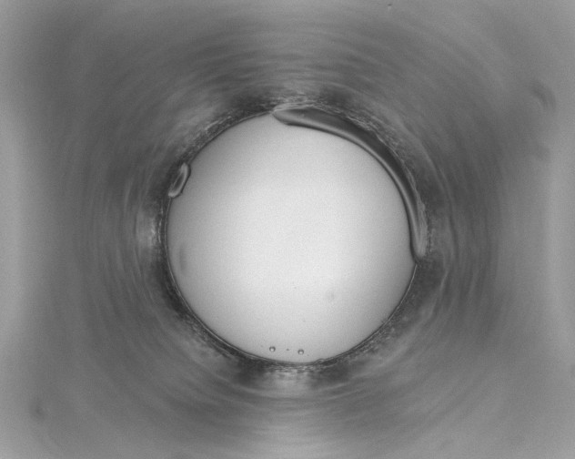 X0000115650084200912011531