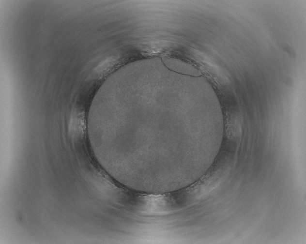 X0000115650085200912011531