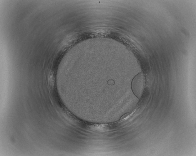 X0000115650086200912011531