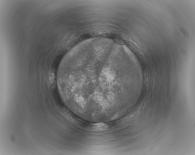 X0000115650087200912011531