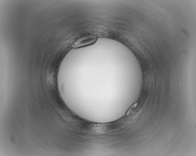 X0000115650088200912011531