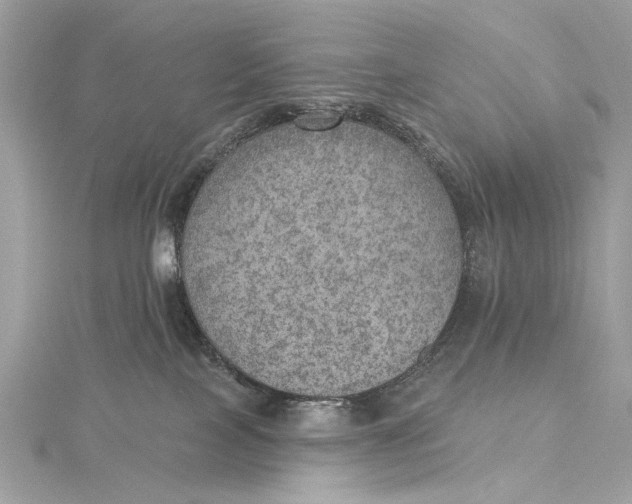 X0000115650089200912011531