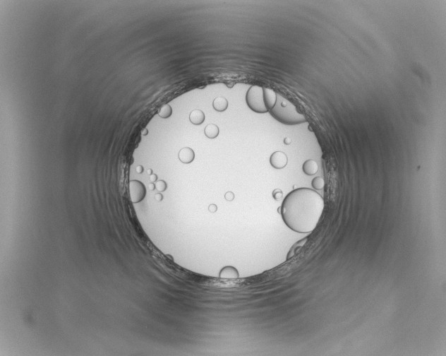 X0000115650093200912011531