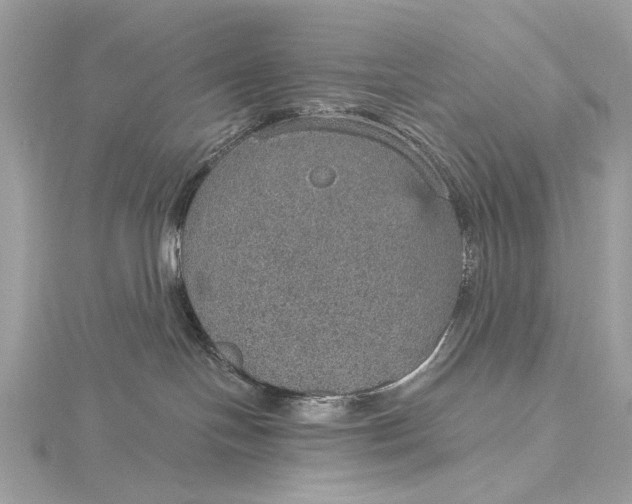 X0000115650094200912011531