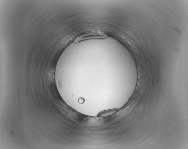 X0000115650096200912011531