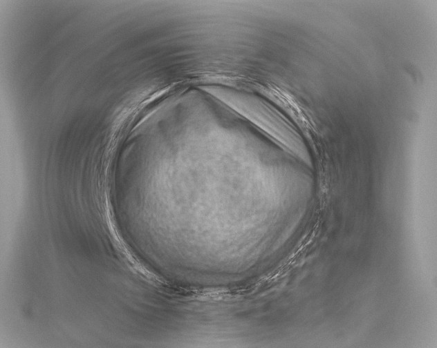 X0000115650097200912011530