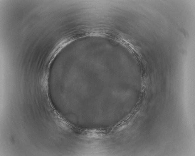 X0000115650098200912011530