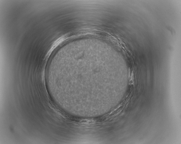 X0000115650099200912011530