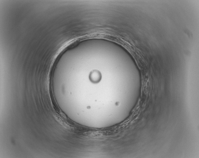 X0000115650100200912011530