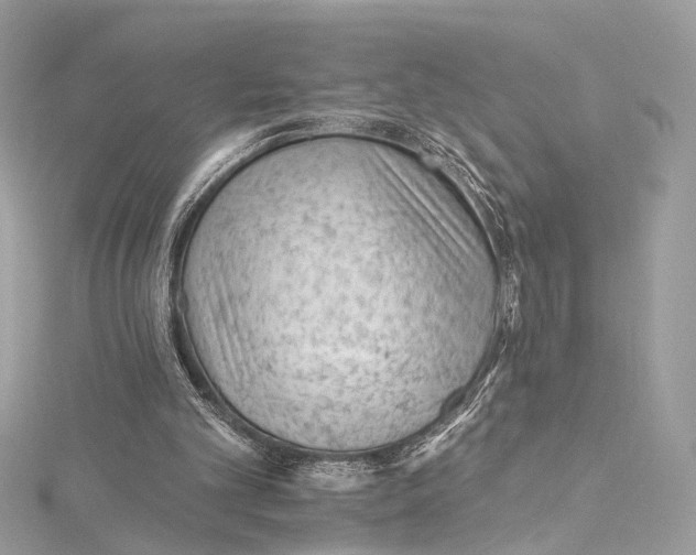 X0000115650101200912011530