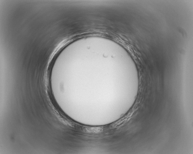 X0000115650102200912011530