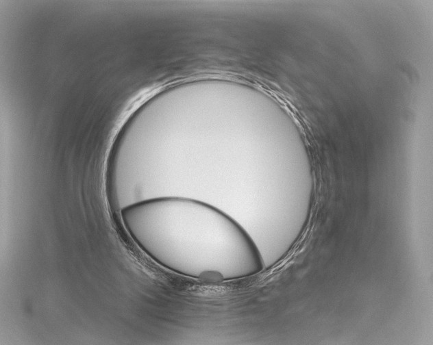 X0000115650104200912011530