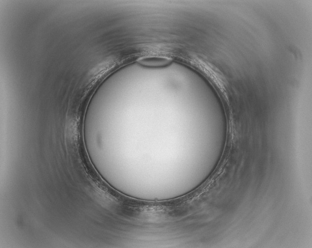 X0000115650105200912011530