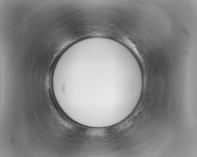 X0000115650106200912011530