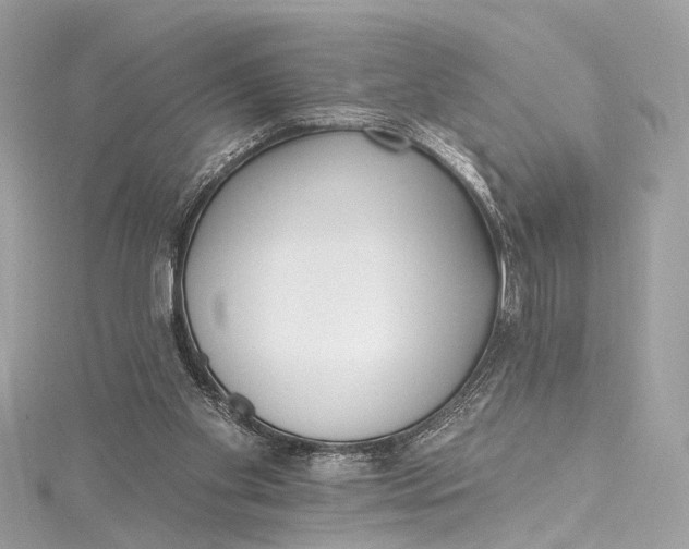 X0000115650109200912011530