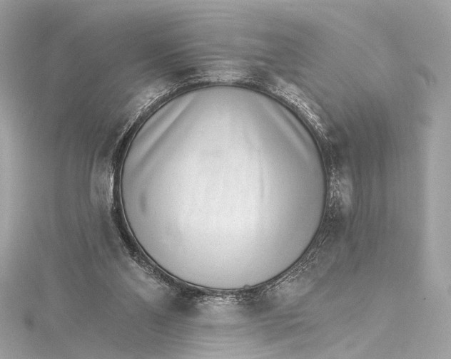 X0000115650110200912011530