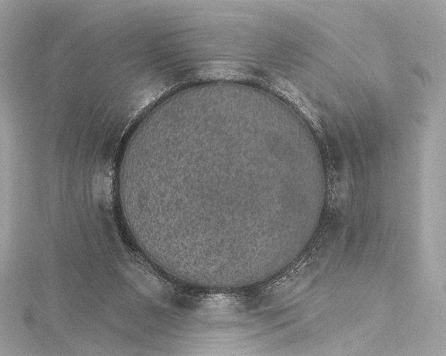 X0000115650111200912011530