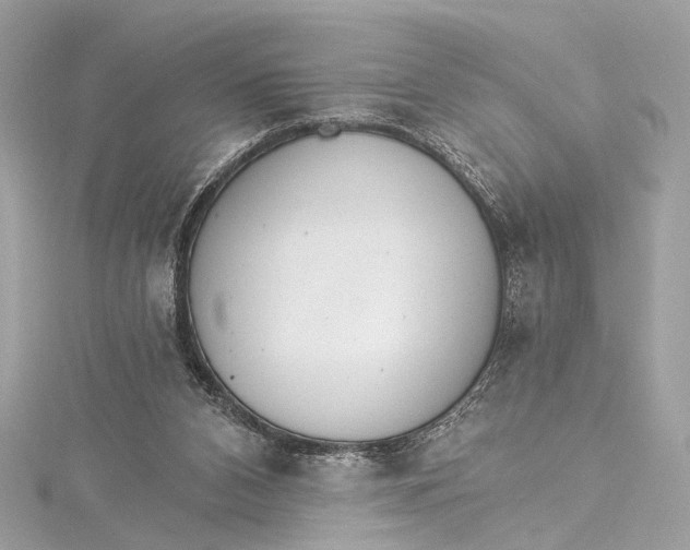 X0000115650112200912011530