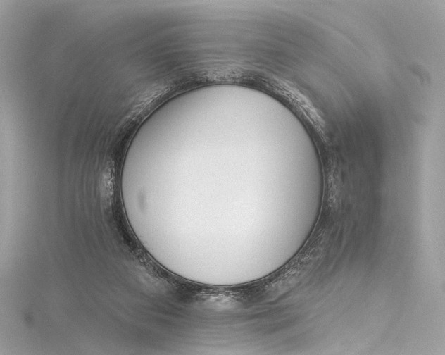 X0000115650113200912011530