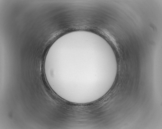 X0000115650115200912011530