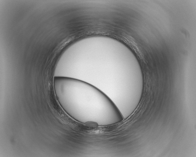 X0000115650116200912011530