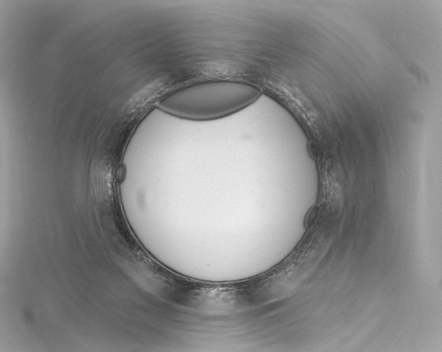 X0000115650117200912011530