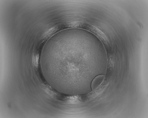 X0000115650118200912011530