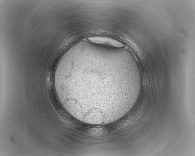 X0000115650119200912011530