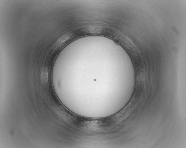 X0000115650120200912011530