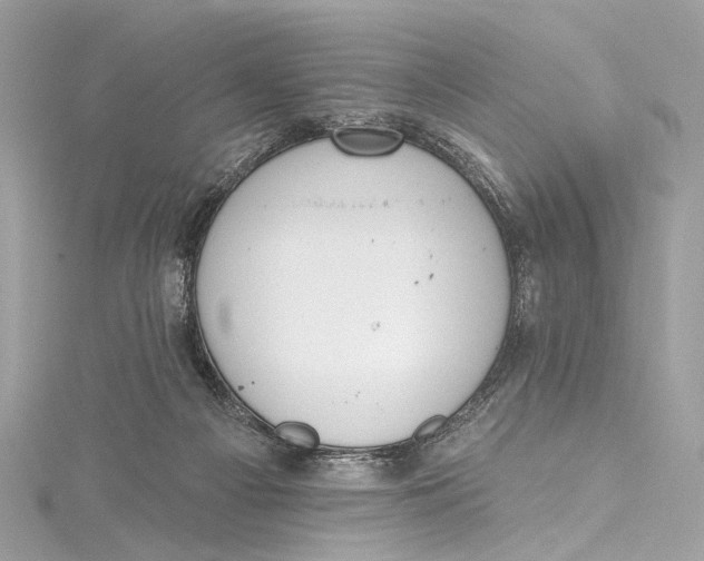 X0000115650121200912011530