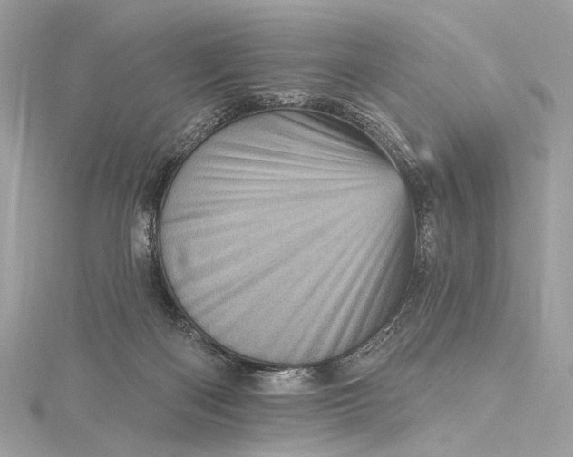 X0000115650122200912011530