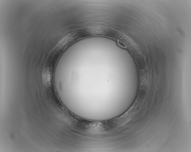 X0000115650124200912011530