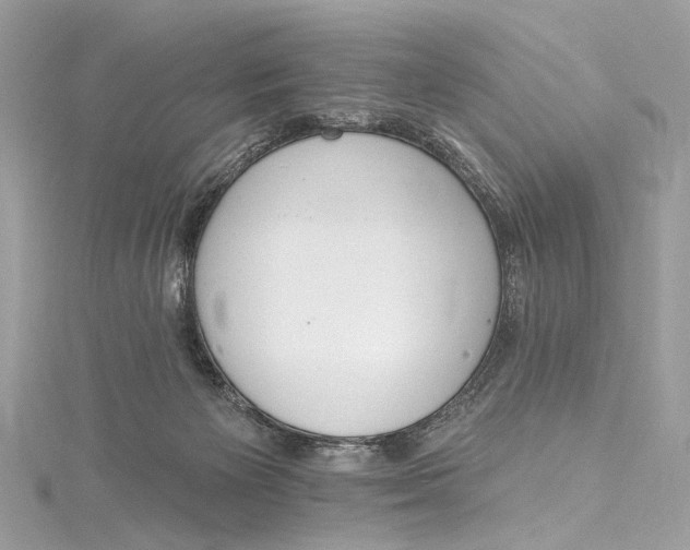 X0000115650125200912011530