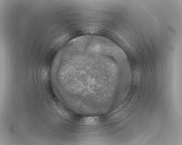 X0000115650126200912011530