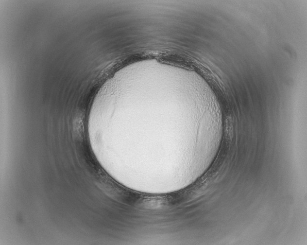 X0000115650127200912011530