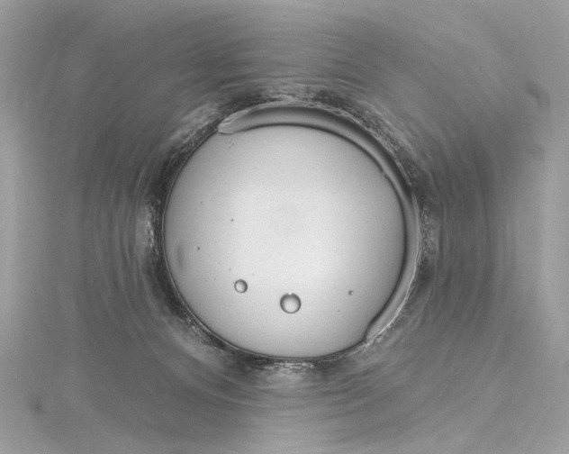 X0000115650128200912011530