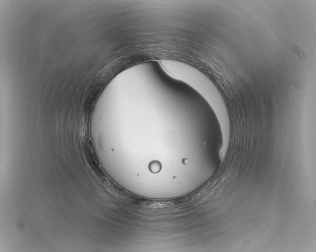 X0000115650129200912011530