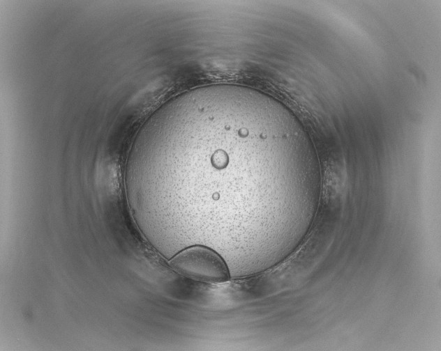 X0000115650130200912011530