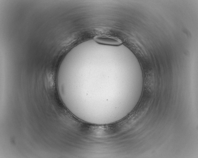 X0000115650131200912011530