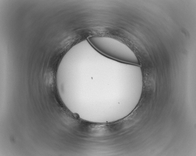 X0000115650132200912011530