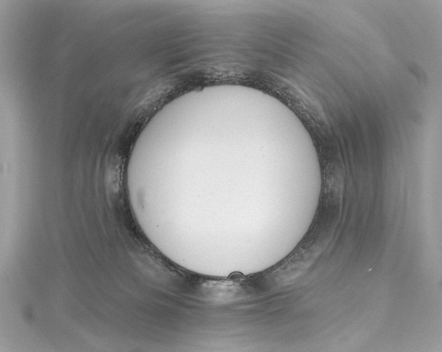 X0000115650133200912011530