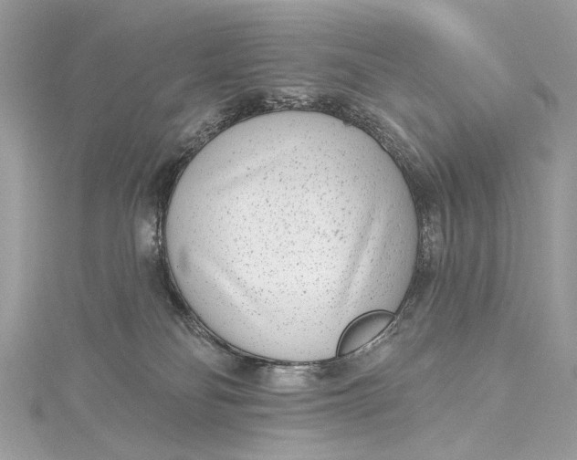 X0000115650134200912011530