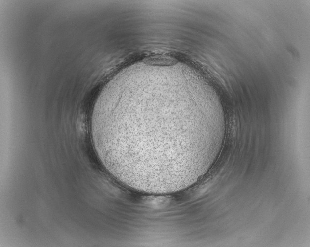 X0000115650135200912011530