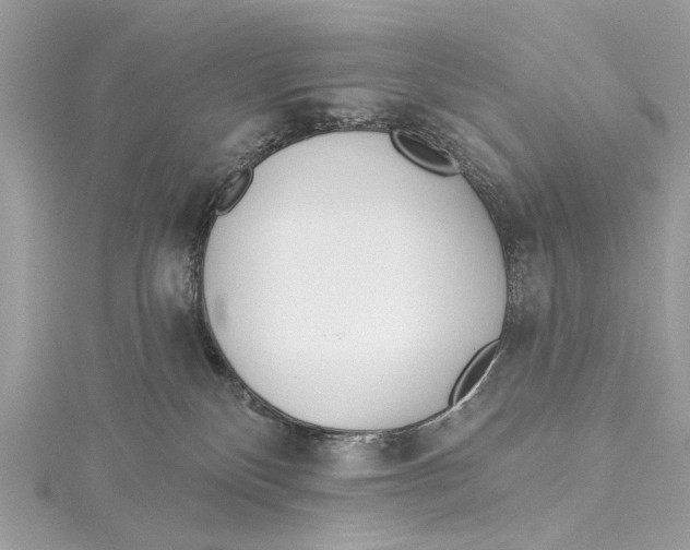 X0000115650136200912011530