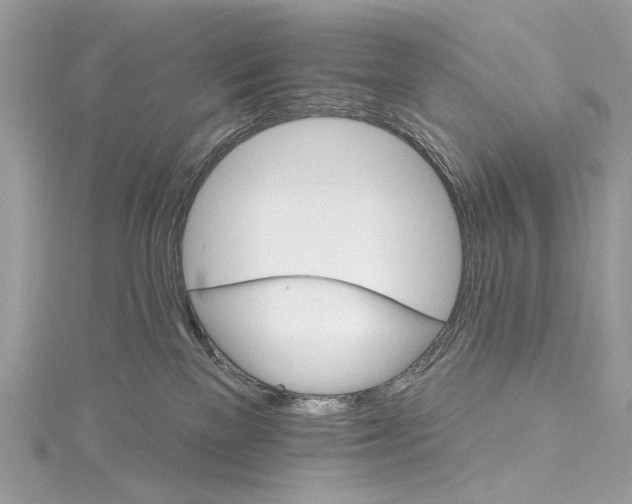 X0000115650137200912011530