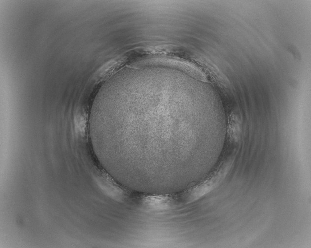 X0000115650139200912011530