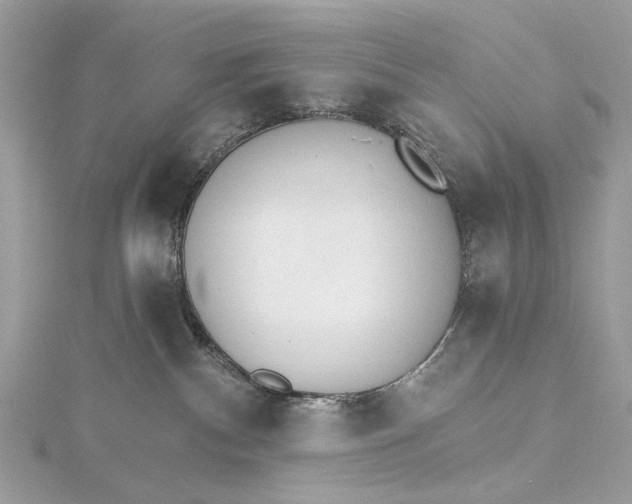 X0000115650140200912011530