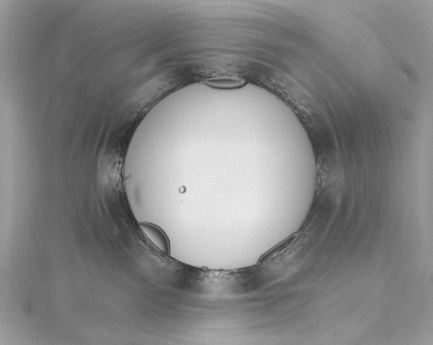 X0000115650141200912011530